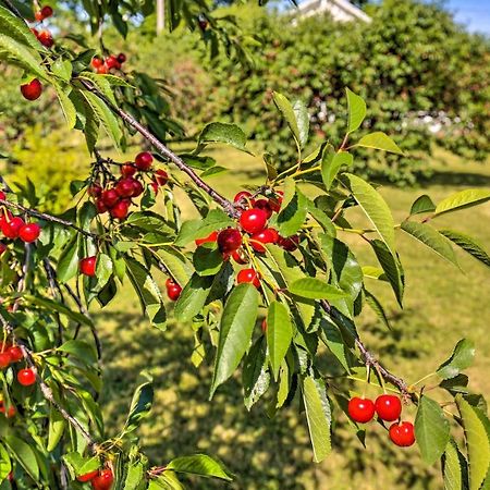 Finger Lakes Farm Retreat Walk To Wineries! Hector エクステリア 写真