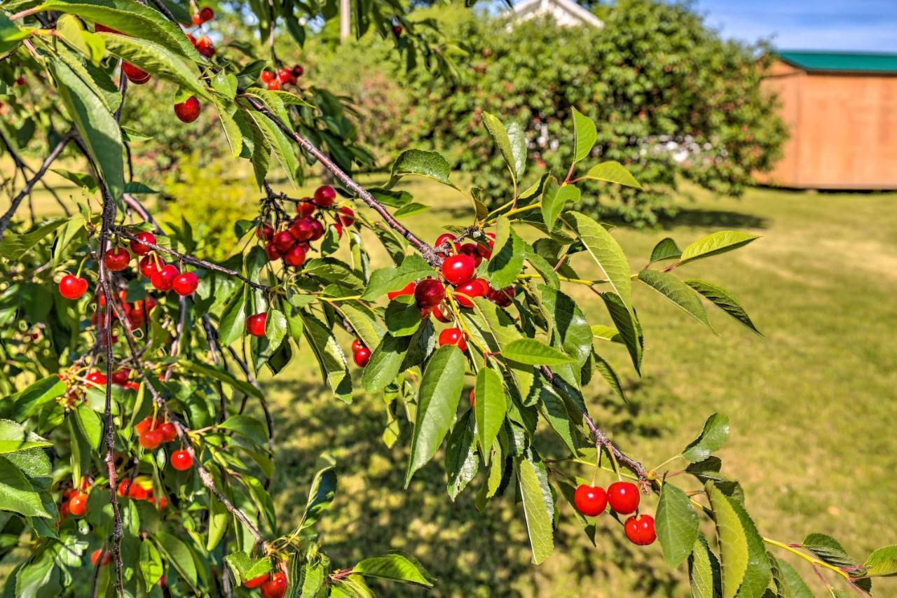 Finger Lakes Farm Retreat Walk To Wineries! Hector エクステリア 写真
