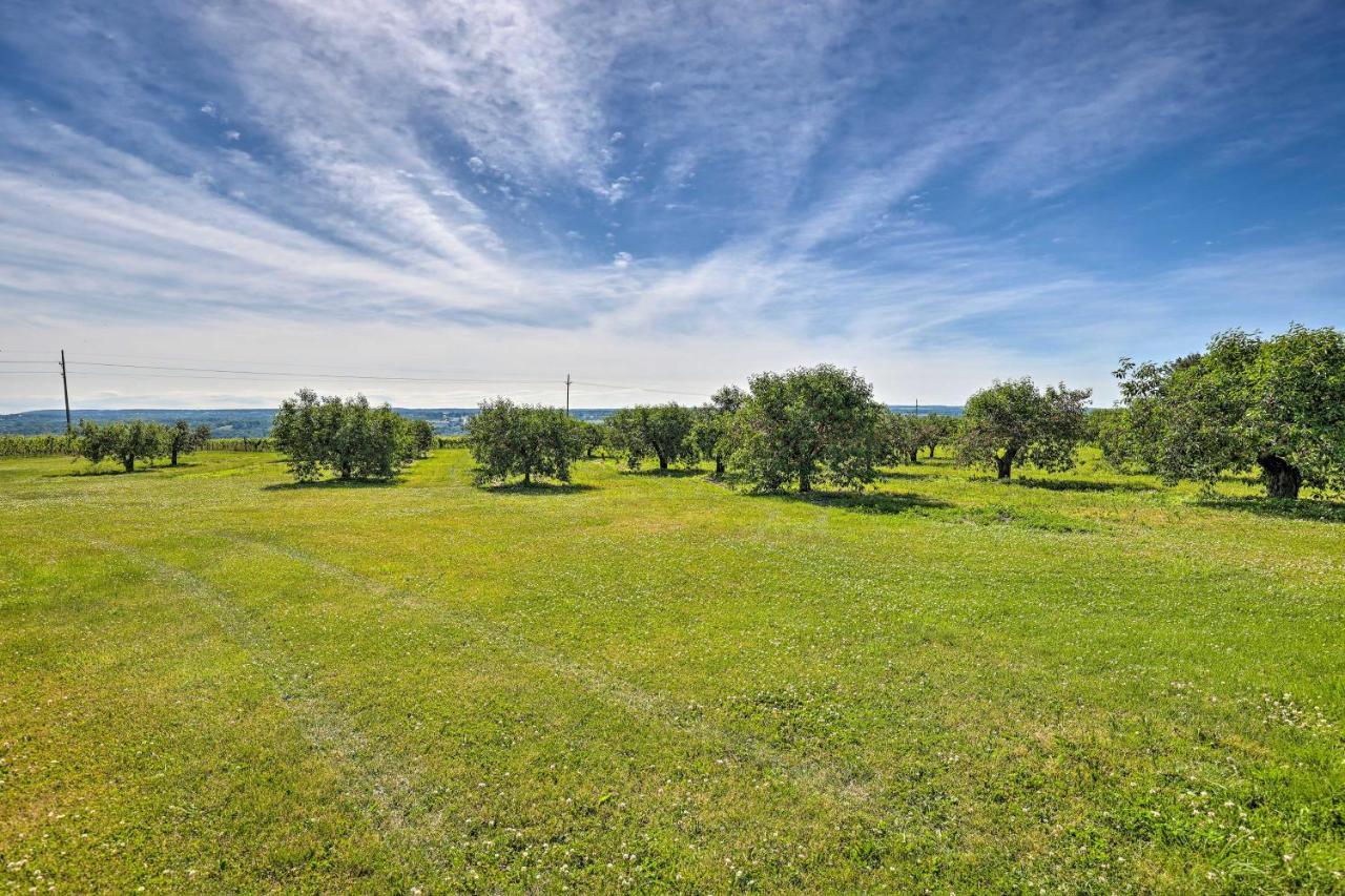 Finger Lakes Farm Retreat Walk To Wineries! Hector エクステリア 写真