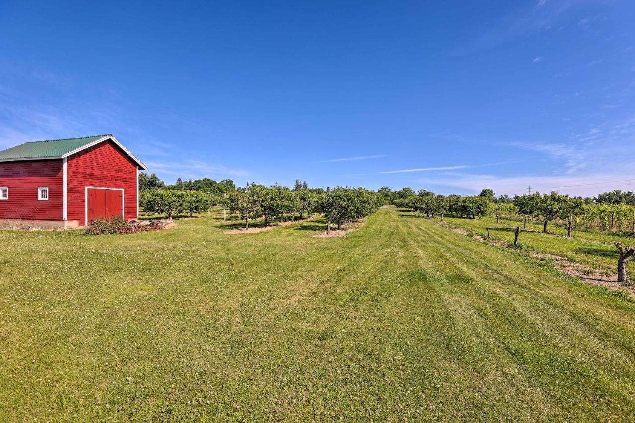Finger Lakes Farm Retreat Walk To Wineries! Hector エクステリア 写真