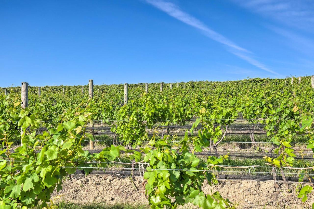 Finger Lakes Farm Retreat Walk To Wineries! Hector エクステリア 写真