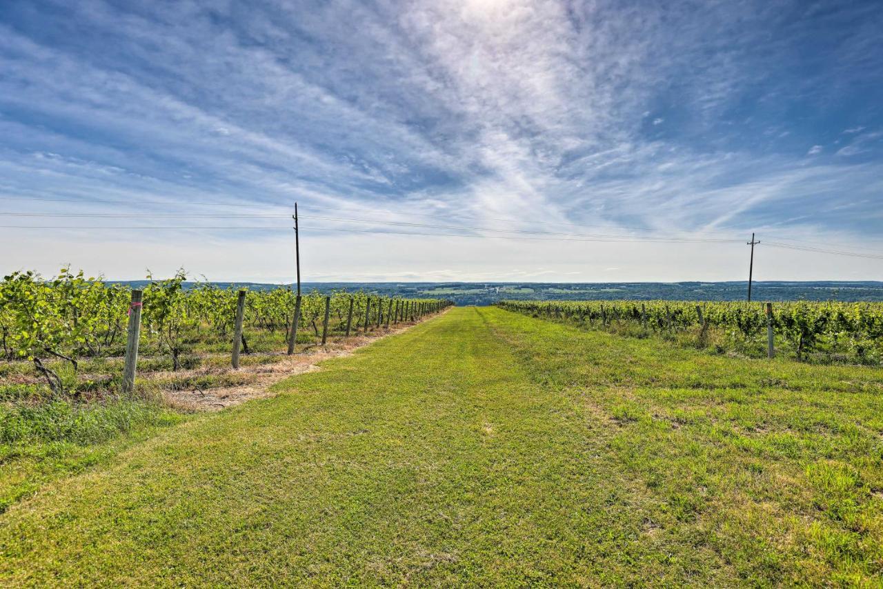 Finger Lakes Farm Retreat Walk To Wineries! Hector エクステリア 写真